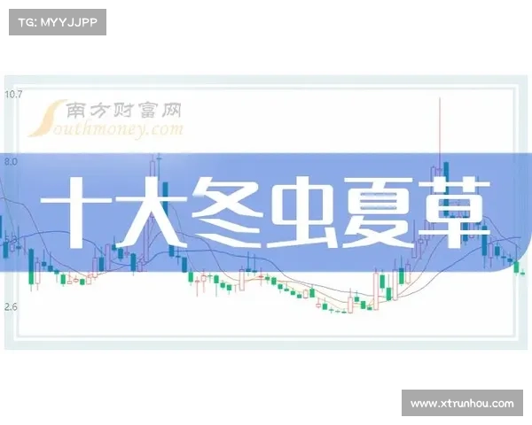 冬季转会窗口攻略：球迷必知的五大关键事项