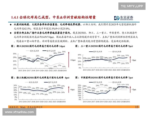 对外投资中国的机会与挑战：关键要素与市场趋势分析